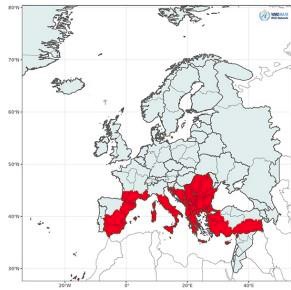Συνθήκες καύσωνα 40 βαθμών μέχρι και την πρώτη εβδμάδα του Σεπτέβρη