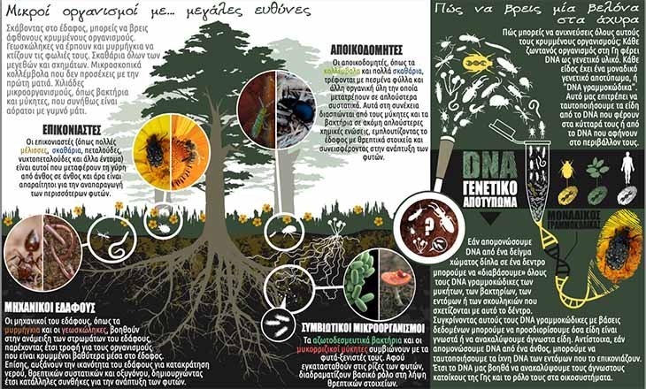 Oλοκληρώθηκε το έργο «iBioGen Twinning for European Excellence in Isand Biodiversity Genomics»