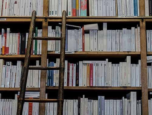 Διδακτορικό Πρόγραμμα στις Επιστήμες Αποκατάστασης στο ΤΕΠΑΚ