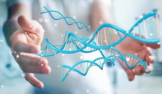 Αναγεννητική Ιατρική: ScienceTalks. Μιλάμε για την Επιστήμη