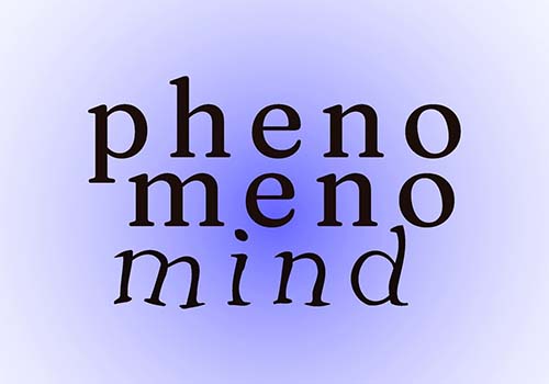 Ολοκλήρωση ερευνητικού έργου «MIND» στο Πανεπιστήμιο Κύπρου Ολοκλήρωση ερευνητικού έργου «MIND» στο Πανεπιστήμιο Κύπρου