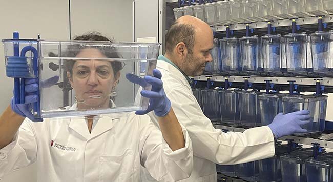 Το νέο Εργαστήριο Zebrafish του Παν. Λευκωσίας ανοίγει τις πόρτες του σε ερευνητικούς συνεργάτες Image
