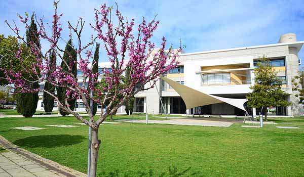 Ενημέρωση φοιτητών/τριών και αποφοίτων του ΠΚ, για την αγορά εργασίας Ενημέρωση φοιτητών/τριών και αποφοίτων του ΠΚ, για την αγορά εργασίας
