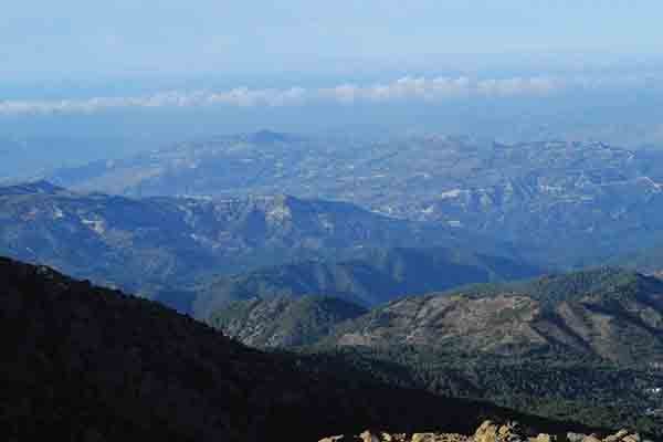 To Πανεπιστήμιο Frederick συμβάλλει στην αποκατάσταση των οικοσυστημάτων