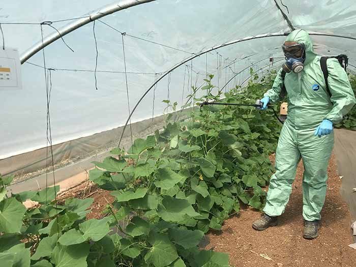 PlantSafe: Διαδικτυακή ημερίδα για τα αποτελέσματα του έργου με συμμετοχή του ΤΕΠΑΚ
