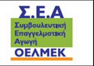 Ενημέρωση μαθητών Δημ. Σχολείων και γονέων/κηδεμόνων τους για θέματα επαγγελματικού προσανατολισμού