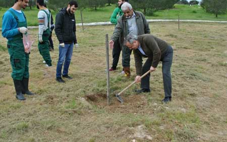 KES College: Δενδροφύτευση από φοιτητές των Προγραμμάτων Σπουδών «Κηποτεχνία και Σχεδιασμός Κήπου»