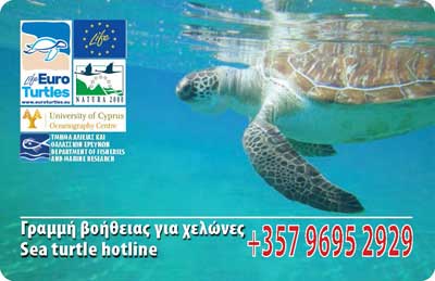Το Ωκεανογραφικό Π.Κ. θέτει σε λειτουργία 24ωρη γραμμή βοήθειας για τραυματισμένες θαλάσσιες χελώνες