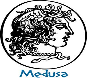 Συμμετοχή Ερευνητικής Ομάδας Τμ. Πληροφορικής του Π.Κ. στο Ευρωπαϊκό Ερευνητικό Πρόγραμμα «MEDUSA»