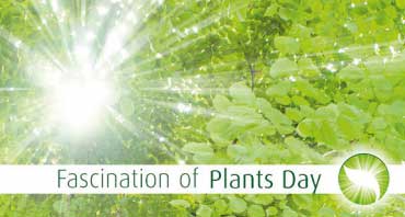 ΤΕΠΑΚ: Έκκληση για συμμετοχή στη Διεθνή Ημέρα της Μαγείας των Φυτών