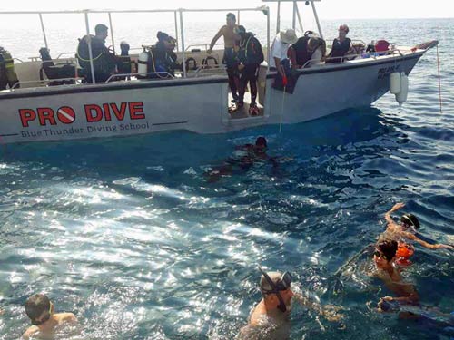 Πόντιση τεχνητού υφάλου από Τμ. Αλιείας και μαθητές του Λυκείου Απ. Πέτρου και Παύλου Image