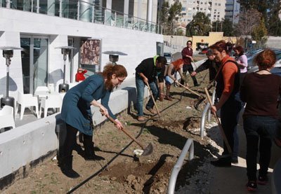 Δεντροφύτευση στο νέο κτήριο του ΘΟΚ